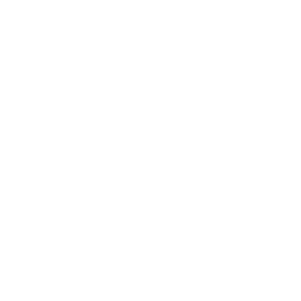 Digi